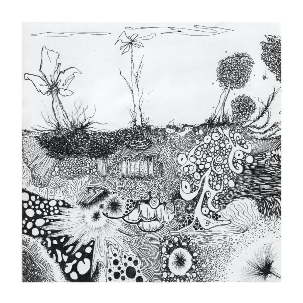 As a Seed, pen-on-paper drawing from the LIFE series by Michael Donovan