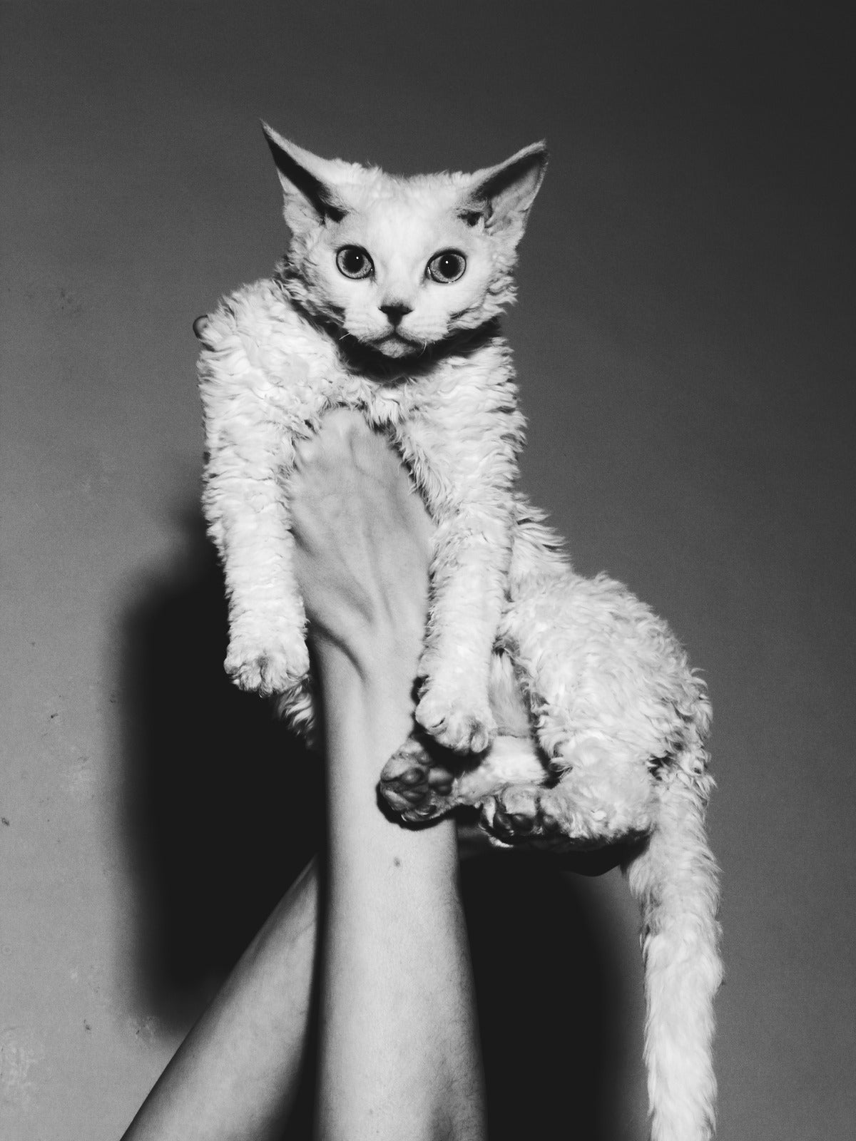 Penny, photograph from the Altered States series by Michael Donovan