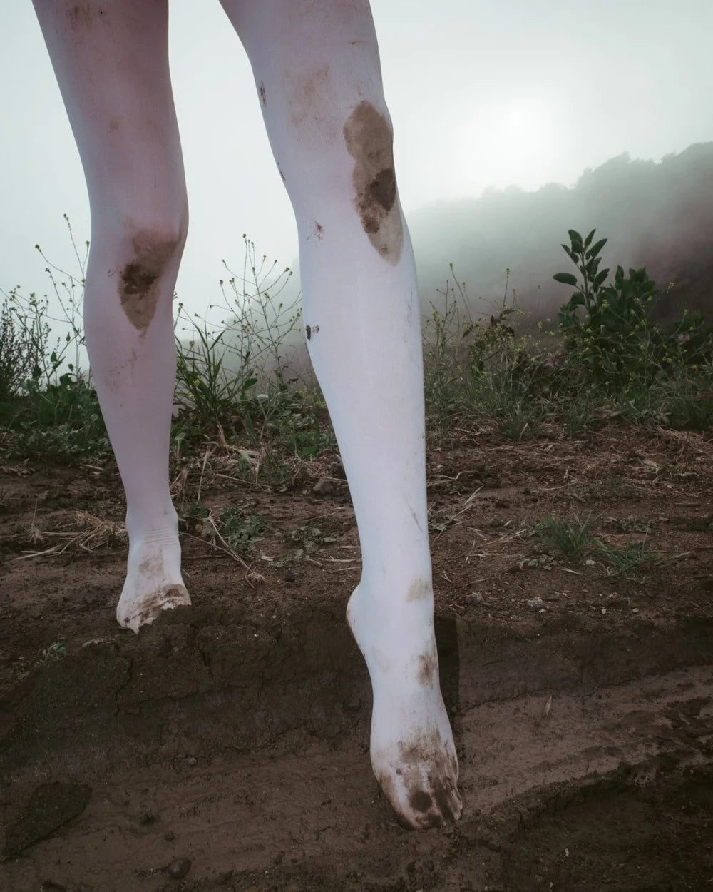 Untitled, photograph from the Socks & Shoes series by Michael Donovan