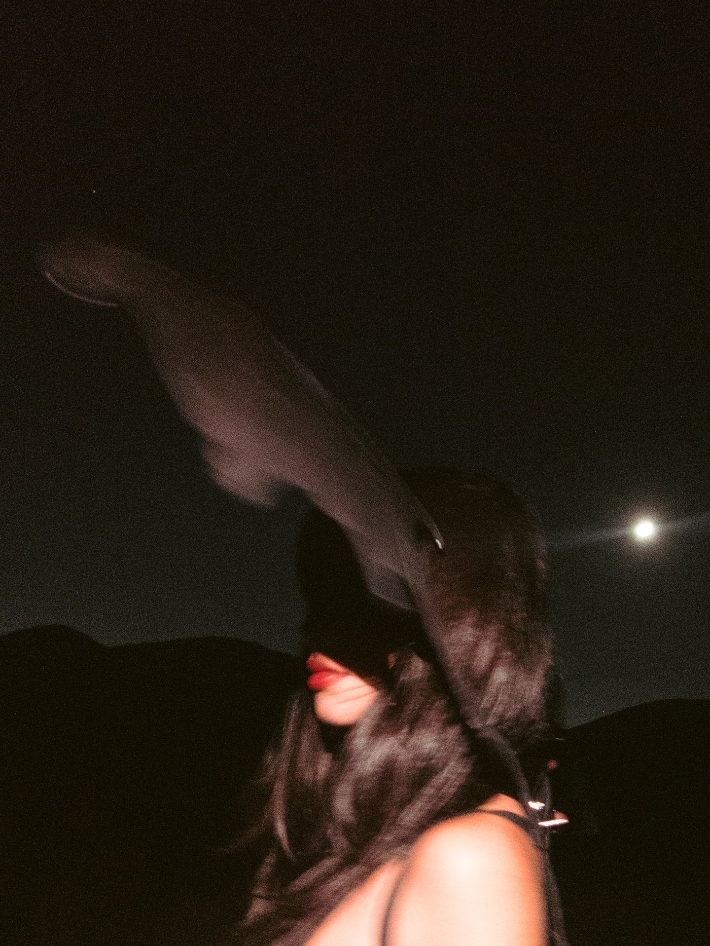 Wing, 2025, photograph from the Oneiric series by Michael Donovan